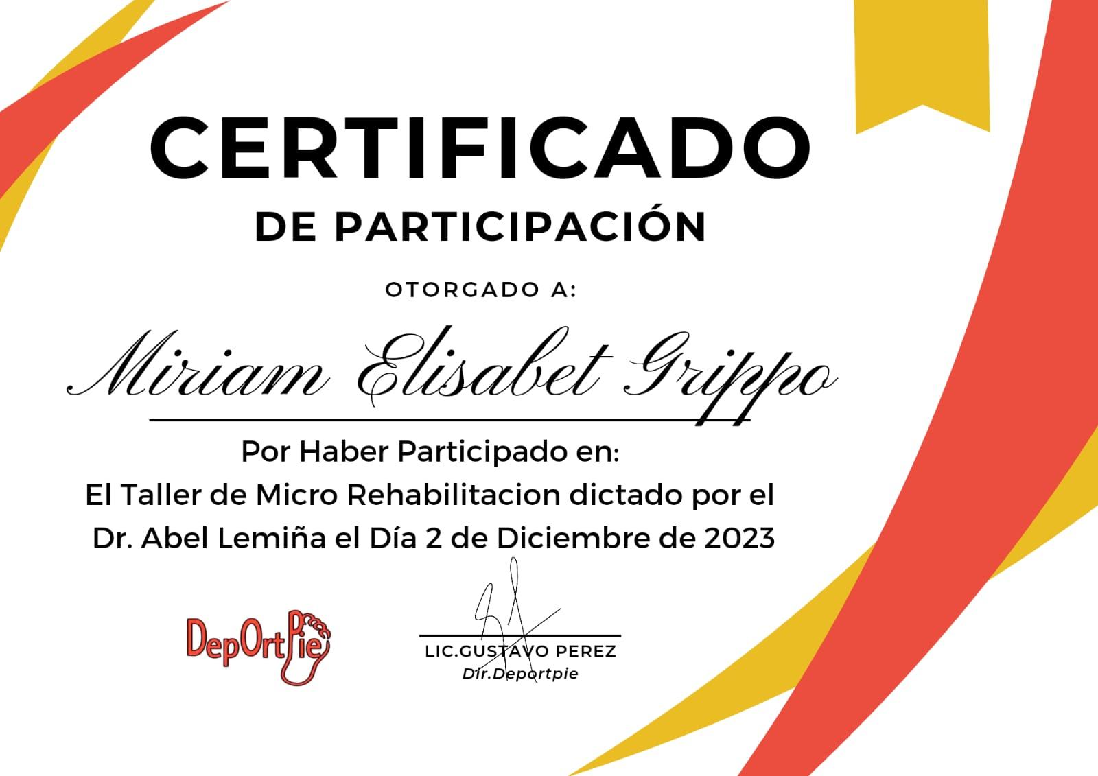 Taller Micro Rehabilitación
